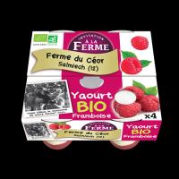 Yaourts Sucrés aromatisés à la Framboise x4